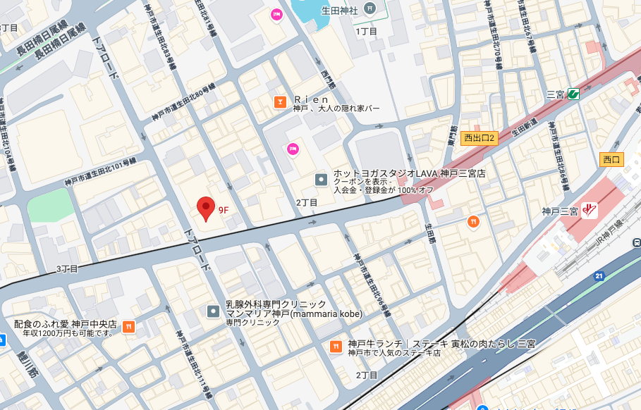 Google Map